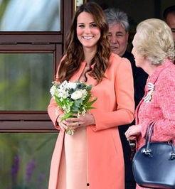 香港爆料凯特王妃视频大全,凯特王妃视频大全揭秘 第1张 香港爆料凯特王妃视频大全,凯特王妃视频大全揭秘 第1张